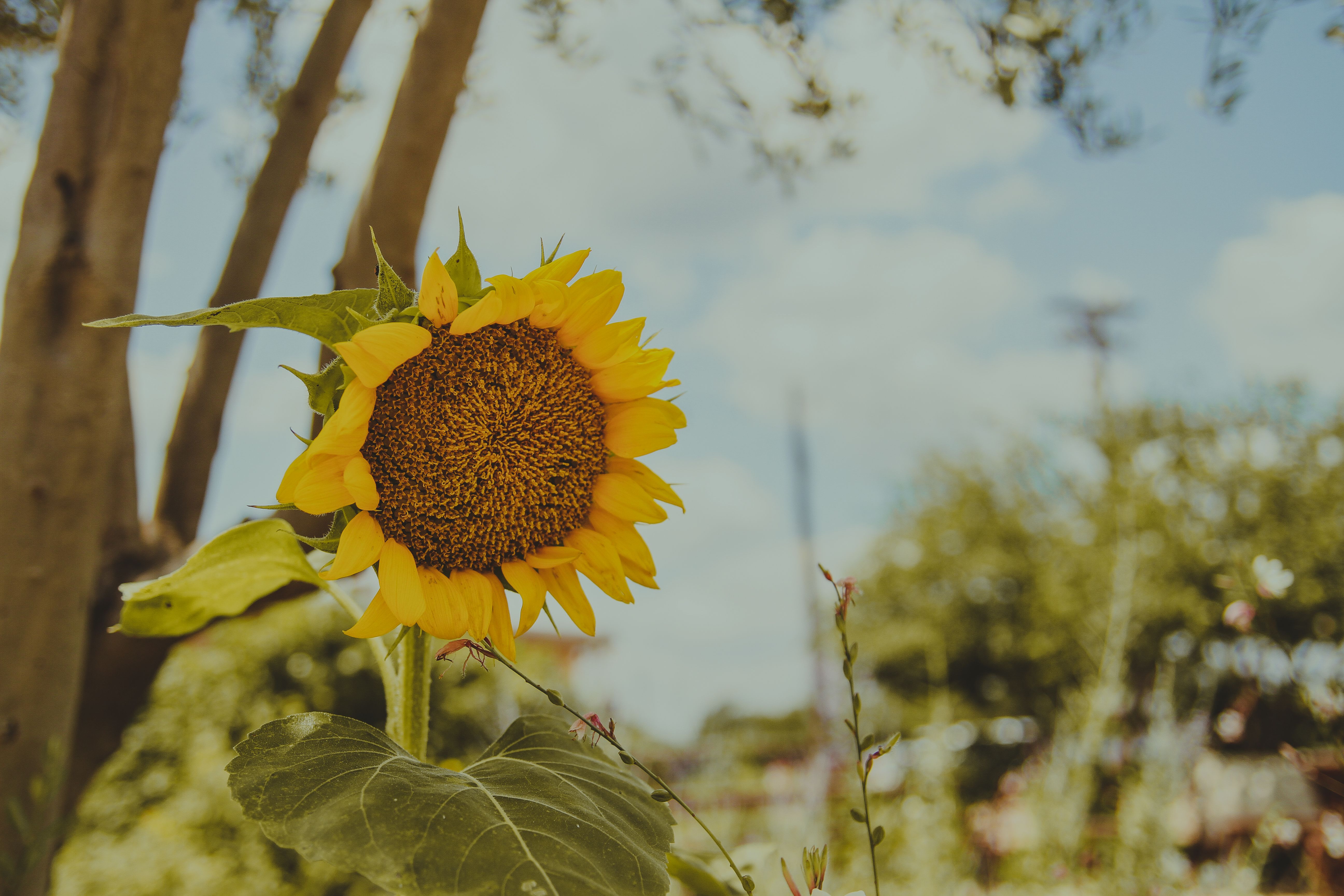 When Summer Ends, What We Leave Behind Matters