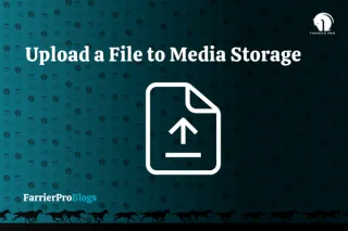 Upload a File to Media Storage