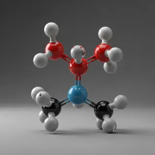 ATP: The Molecule That Powers Life