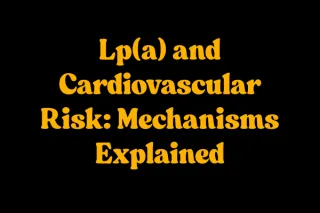 Lp(a) and Cardiovascular Risk: Mechanisms Explained