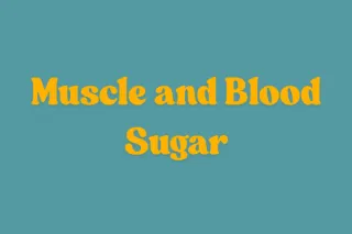 Muscle Mass and Diabetes Risk Explained