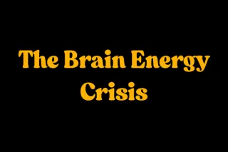 Could Alzheimer's Disease Be a Metabolic Disease?