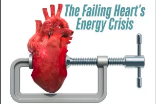 Heart Failure: A Metabolic Disease?