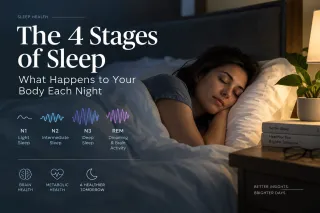 The Stages of Sleep: What Happens to Your Body Each Night
