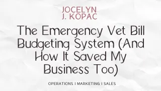 The Emergency Vet Bill Budgeting System | Business Emergency Fund