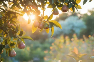 🌿 Grief Is More Than Death