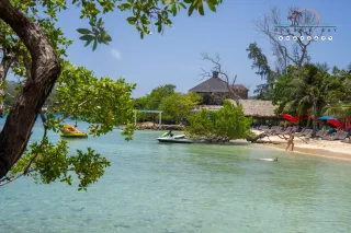 Ultimate Roatan Cruise Excursion Guide for Cruise Passengers