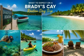 What To Expect During A Day Trip To Brady's Cay Roatan