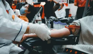 Blood Sodium vs Body Sodium — Why the Test Your Doctor Orders Won't Help You Race