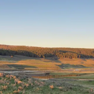 Why You Need To Visit Yellowstone National Park in the Summer