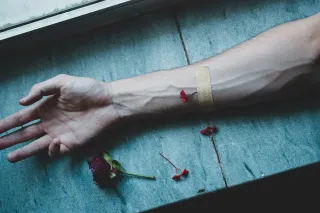 Can Narcissism Be Healed?: A Compassionate but Honest Look at Recovery from NPD