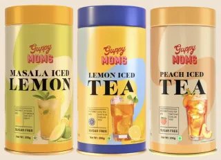 Guppy Moms Review: Modern Indian Masala Chai
