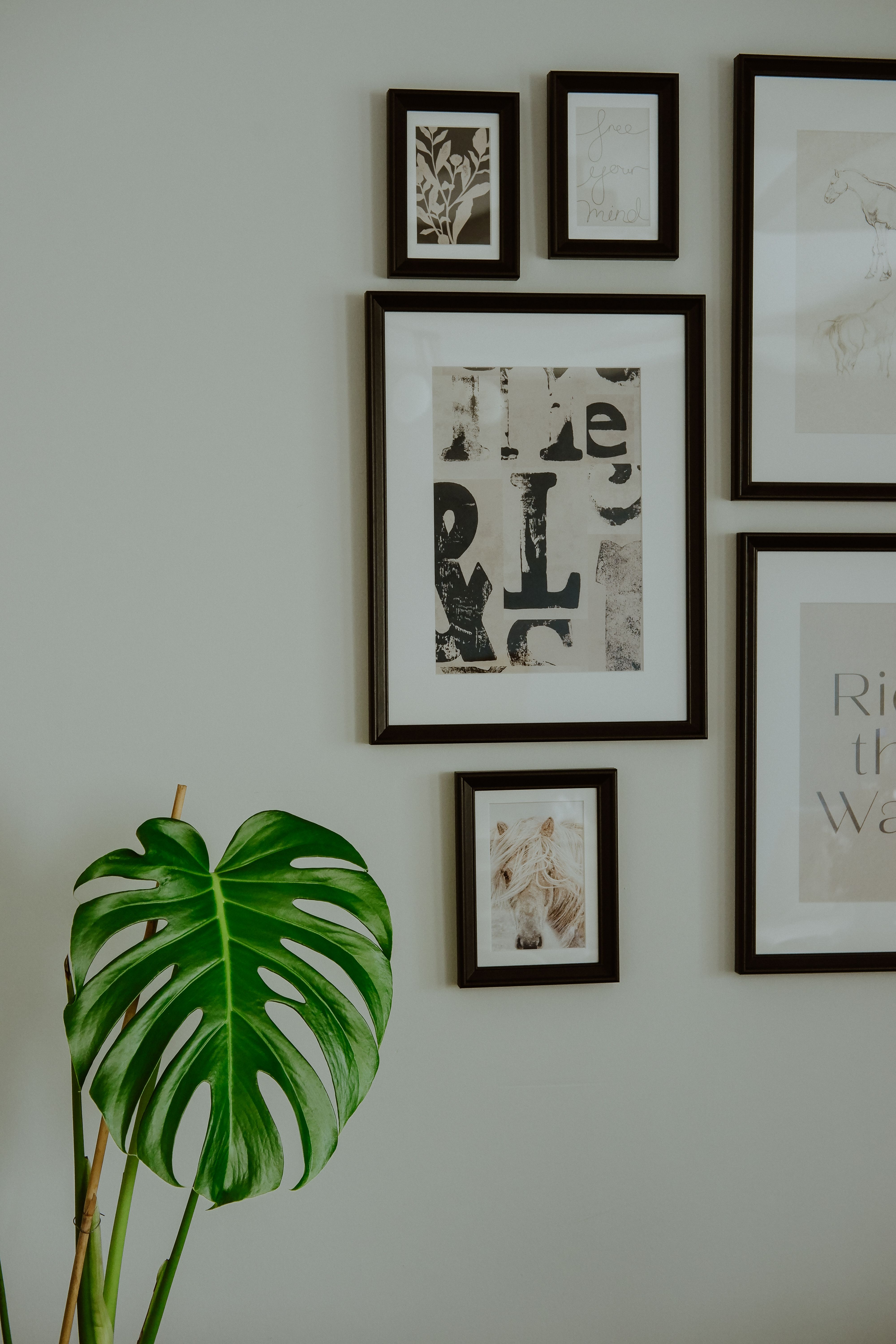 The Gallery Wall Guide: How to Curate Wall Art That Tells Your Story