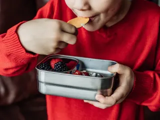 ECOlunchbox Review: Plastic-Free Lunch Storage