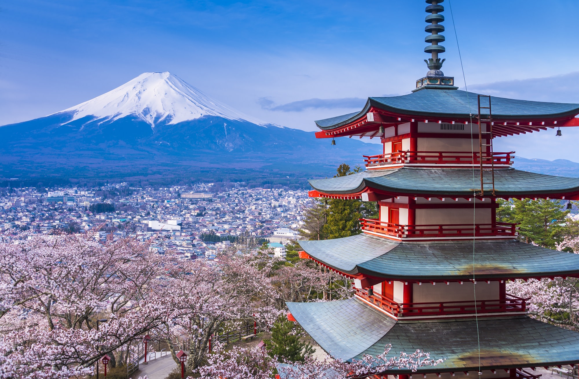 Japan Is Calling: Why a Classic Japan Tour Belongs on Your 2027 Travel List
