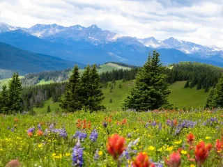 Découvrir la nature et vivre la sienne 