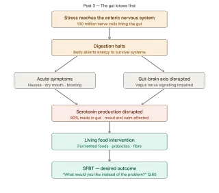 The Gut Knows First: Digestion, Disruption, and Your Second Brain