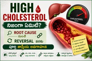 High Cholesterol – నిజంగా ఏమిటి? Root Cause నుంచి Reversal వరకు పూర్తి శాస్త్రీయ అవగాహన