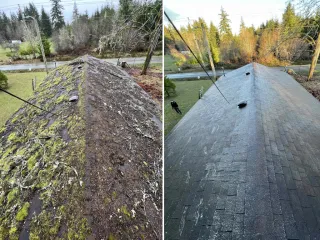 Roof Moss Damage in Delphi, Washington: How to Prevent Costly Water Leaks