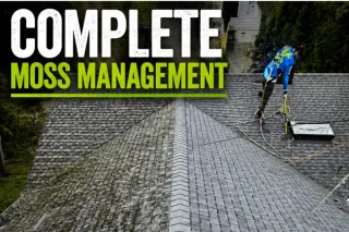 Complete Moss Management and Roof Cleaning in Little Rock, Washington