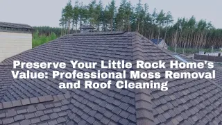 Preserve Your Little Rock Home's Value: Professional Moss Removal and Roof Cleaning