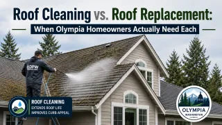 Roof Cleaning vs. Roof Replacement: When Olympia Homeowners Actually Need Each