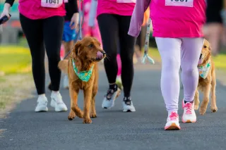 Downtown Sevierville’s 9 to 5K: A Dolly-Inspired Race to Remember