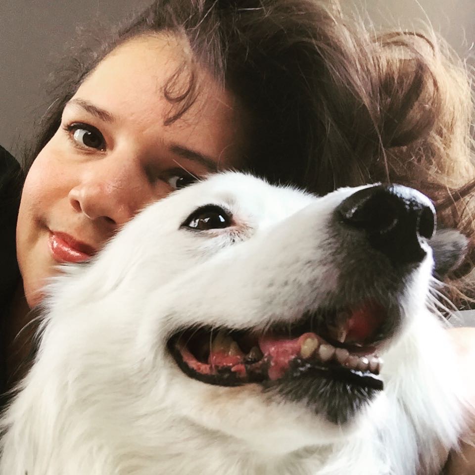 What Is Animal Communication? (It's Not What You Think)