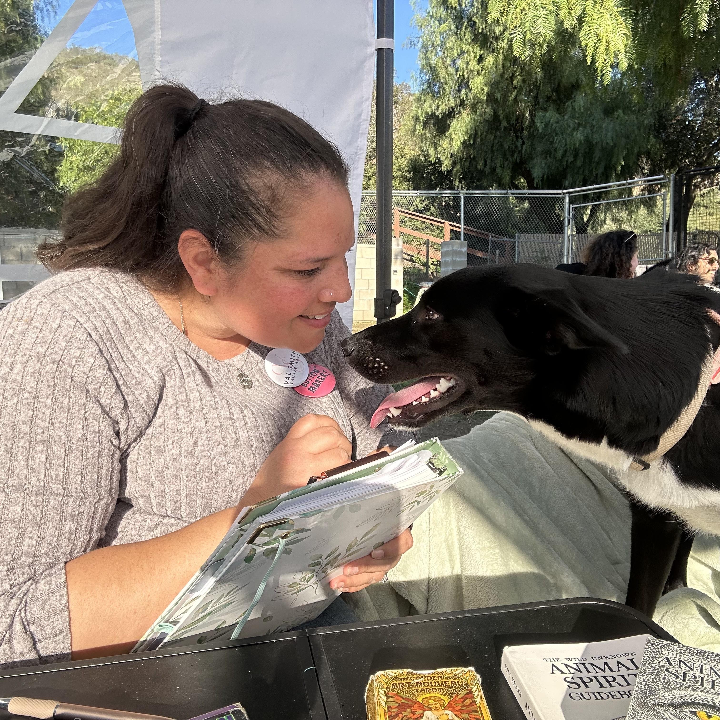 What Happens in an Animal Communication Session?