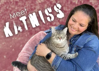 Meet Katniss