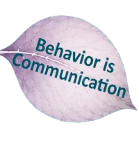 FAQ image