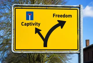 Are You Building Freedom or Captivity?