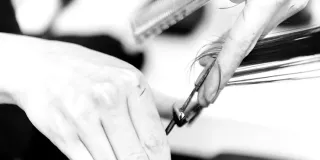 Straight Haircut Sectioning: Why Clean Sectioning Improves Precision