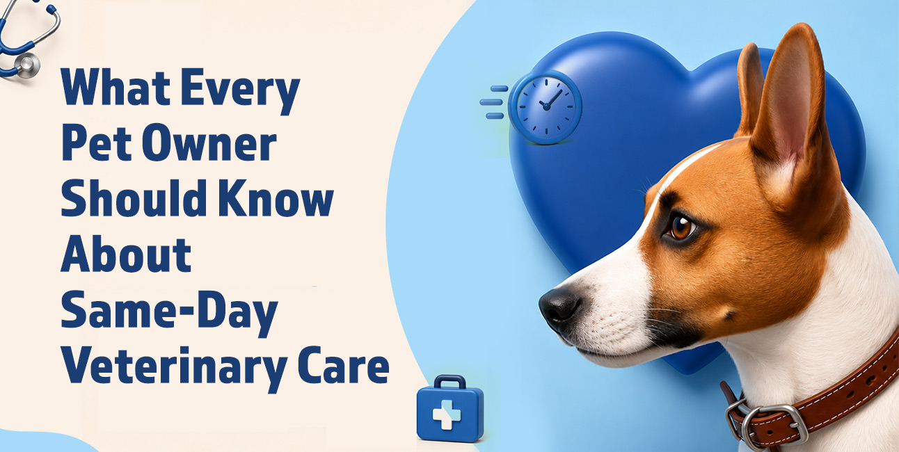 What Every Pet Owner Should Know About Same-Day Veterinary Care