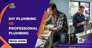 DIY Plumbing vs Professional Plumbing: Should You Fix That Leaky Faucet Yourself?