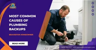 What Are the Most Common Causes of Plumbing Backups?