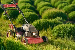 When Should You Stop Mowing in Fall in Asheville, NC?