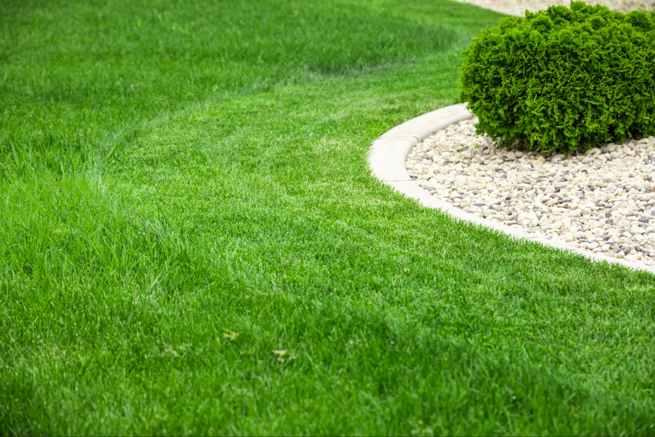 Lawn Maintenance Asheville NC: How to Keep Your Yard Healthy Year-Round