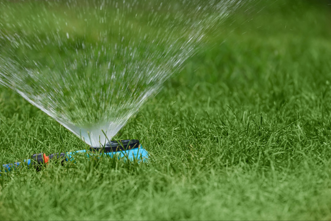 Lawn Watering Asheville NC: 7 Smart Tips for a Healthier Lawn