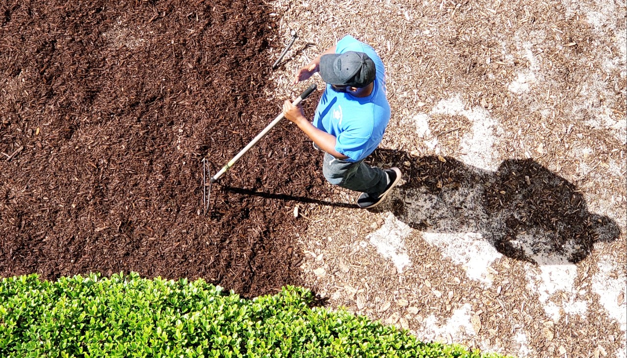 Mulching Asheville NC: 7 Benefits for a Healthier Landscape