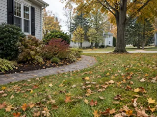 Fall Yard Cleanup: One Visit or Ongoing Maintenance?