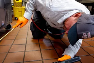 Houston IPM Pest Control: Better Pest Management