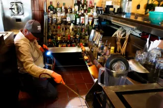 Mosquito Control in Houston: Stop Standing Water Breeding