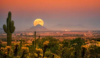 New Construction vs Resale in Verrado: Which Makes More Sense in 2026