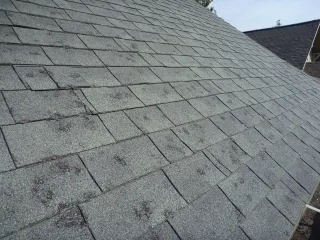 Roof Repair vs. Replacement: Make the Right Choice