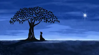 What is Mind-Body Medicine