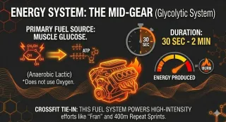 The "Pain Cave" (Glycolytic System)