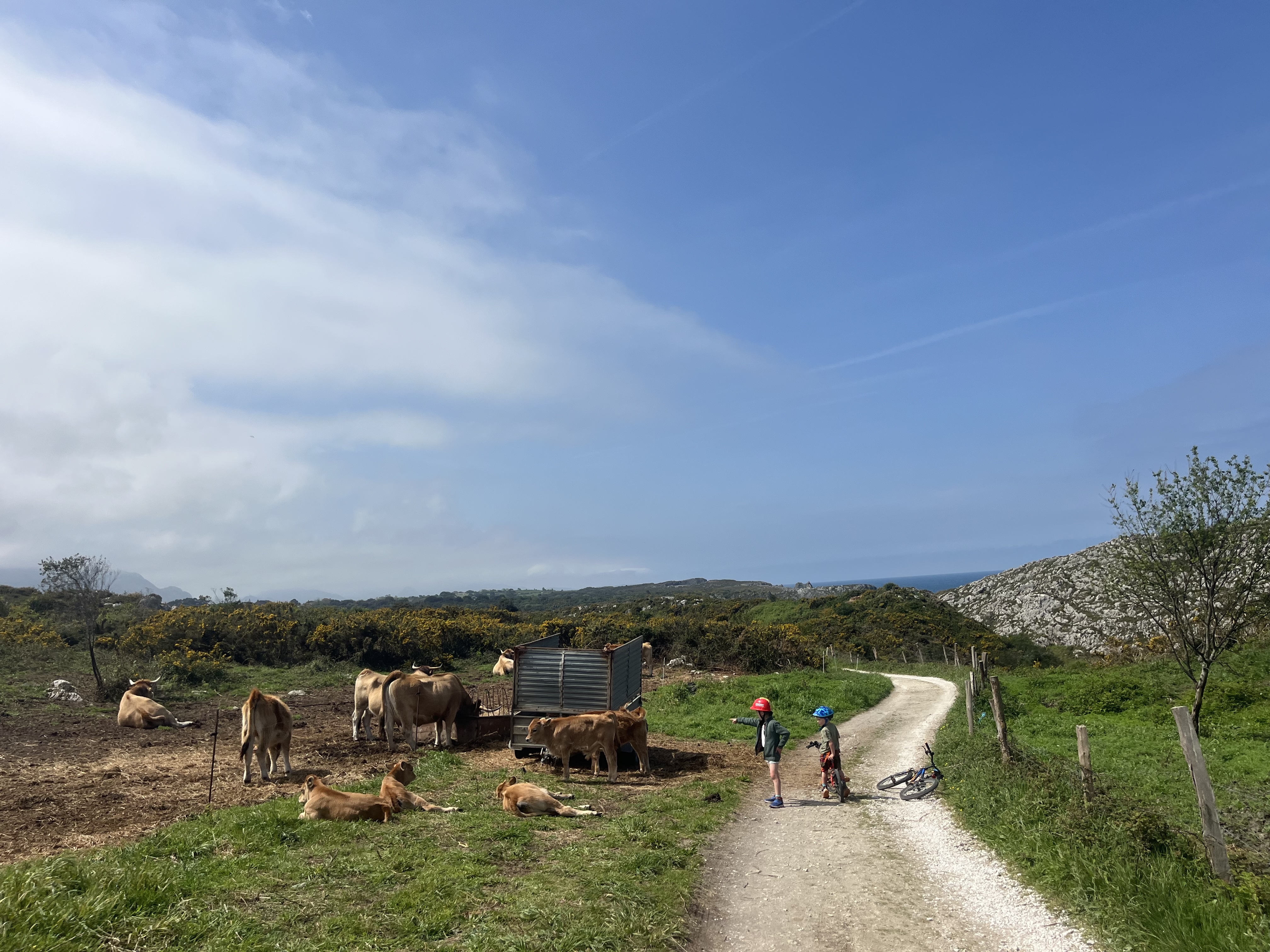 The Cereal. The Car. The Tears. (And What I Had to Remind Myself On The Way Home.)