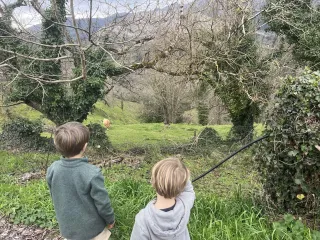 Nothing Works With My Child. Here's Why.