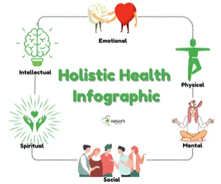 The Importance of Balanced Nutrition for Holistic Health